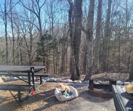 Mousetail Campground