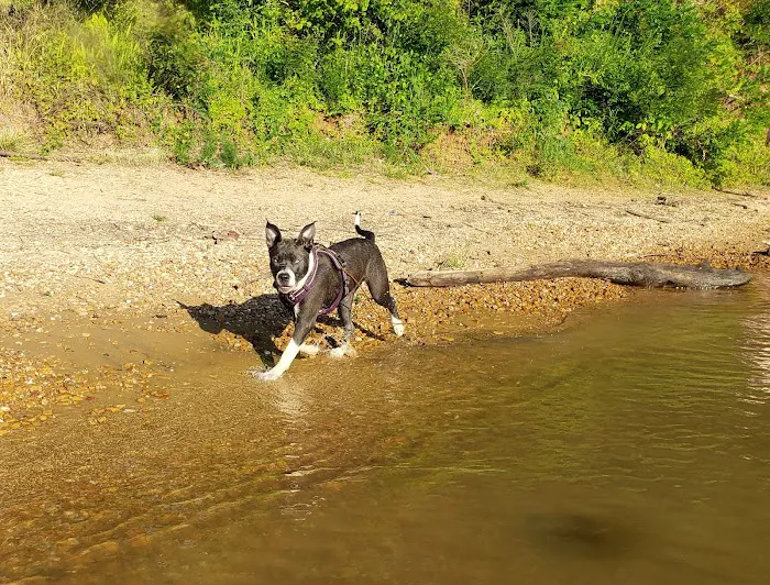 Spring Creek Campground Picture 10