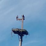 Perryville Campground