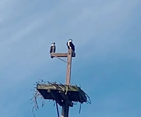 Perryville Campground