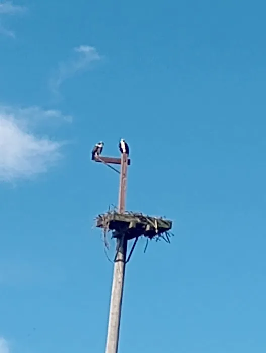 Perryville Campground Picture 4