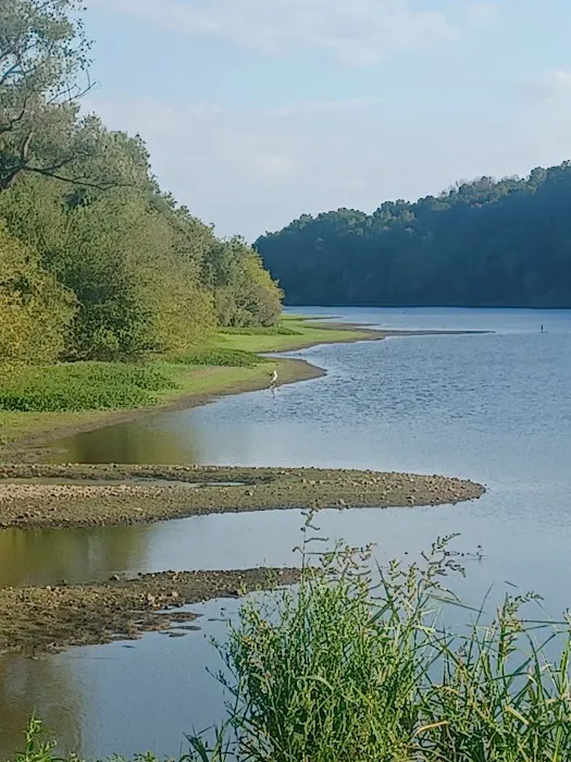 Beech Bend Park Picture 5