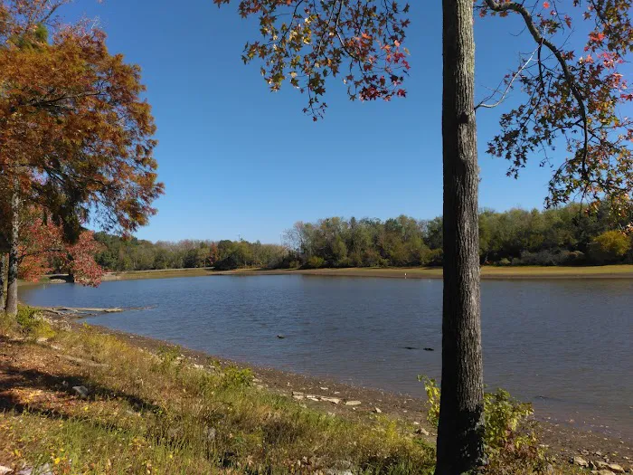 Beech Bend Park Picture 1