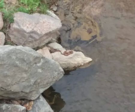 Pikes Peak Campground