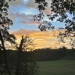 Licklog RV Park and Camp