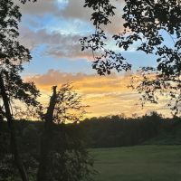 Licklog RV Park and Camp ico