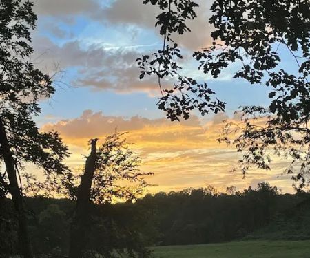 Licklog RV Park and Camp