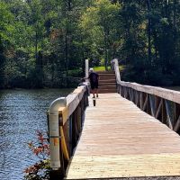 Natchez Trace State Park Campground 1 ico