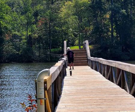 Natchez Trace State Park Campground 1