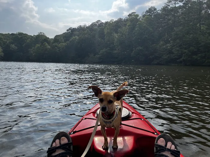 Natchez Trace State Park Campground 1 Picture 5