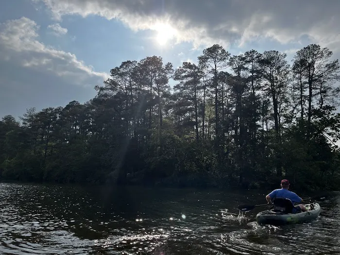Natchez Trace State Park Campground 1 Picture 6