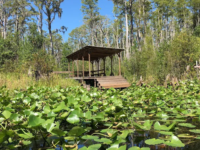 Minnies Lake Canoe Shelter Picture 10