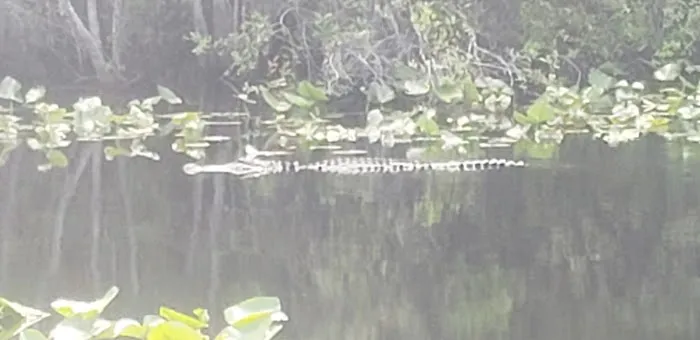 Minnies Lake Canoe Shelter Picture 4
