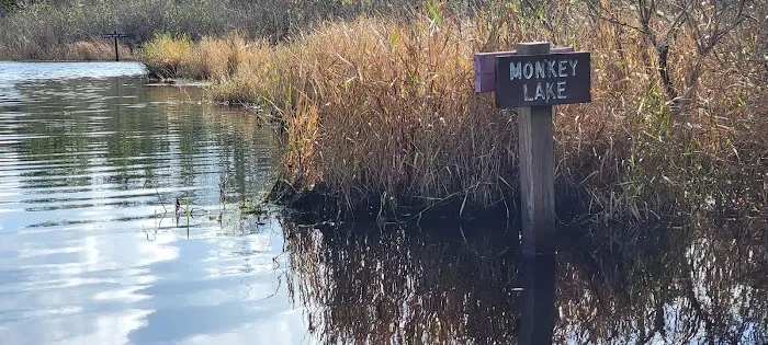 Monkey Lake Canoe Shelter Picture 2