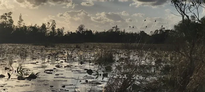 Monkey Lake Canoe Shelter Picture 7