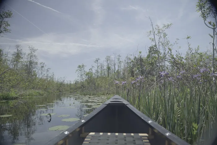 Monkey Lake Canoe Shelter Picture 4