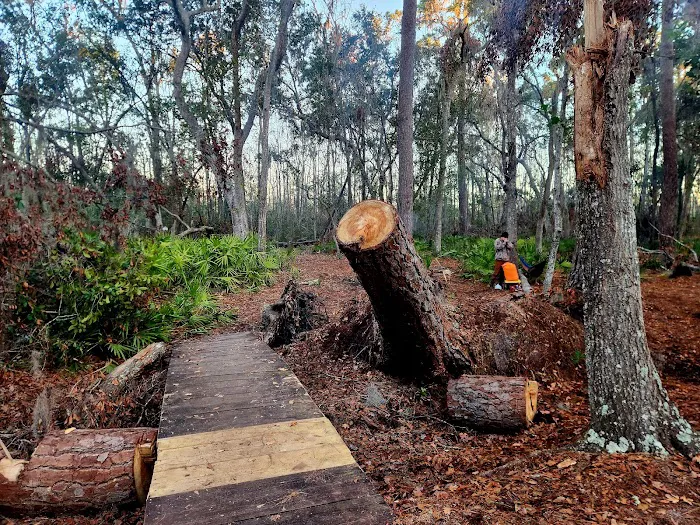 Mixon's Hammock Canoe Shelter Picture 4