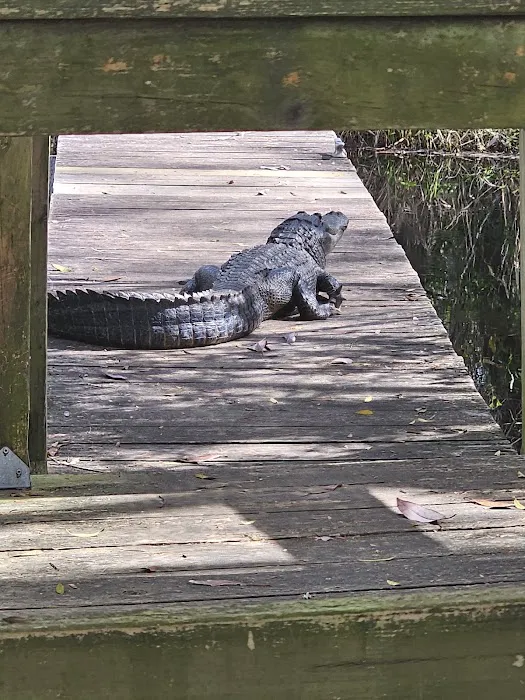 Mixon's Hammock Canoe Shelter Picture 1