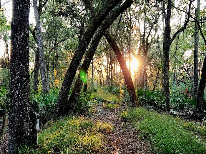 Mixon's Hammock Canoe Shelter Picture 3