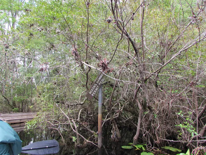 Mixon's Hammock Canoe Shelter Picture 10