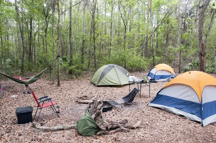 Maple Set Campground Picture 5