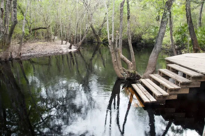 Maple Set Campground Picture 1