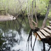 Maple Set Campground ico