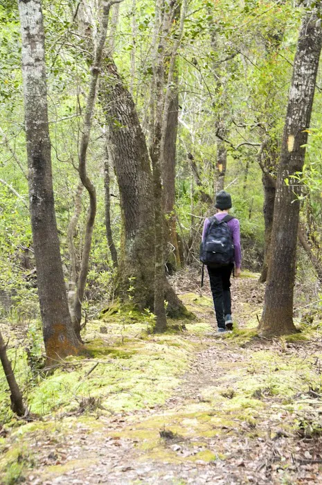 Maple Set Campground Picture 4