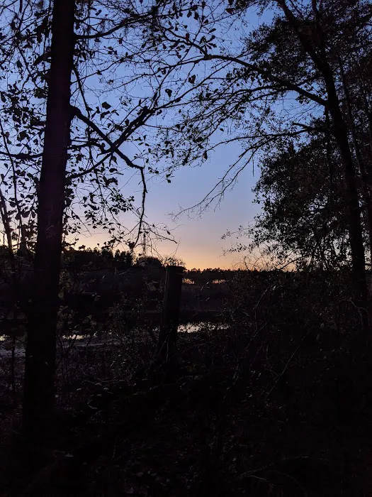 Maple Set Campground Picture 2