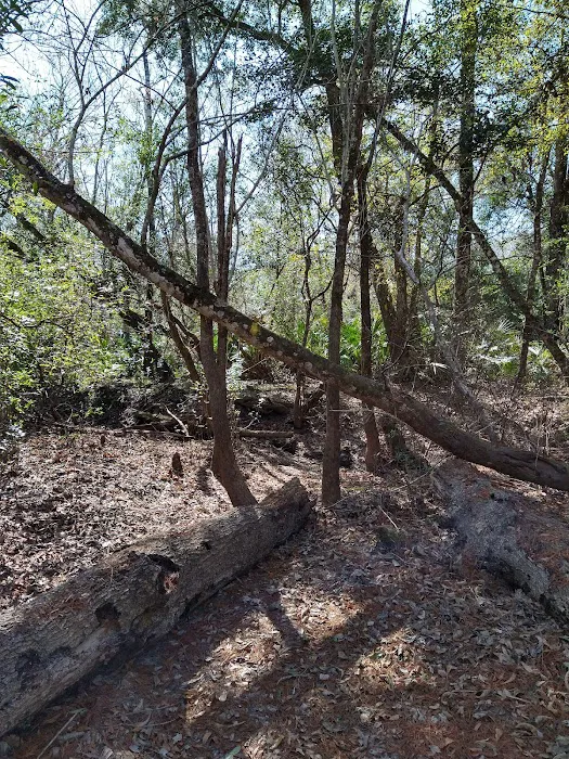 Maple Set Campground Picture 6