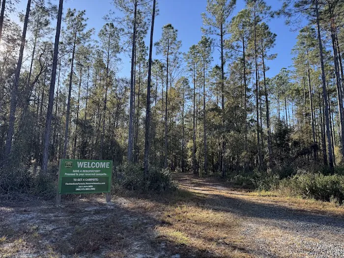 Catface Corner Campground (Florida Forest Service) Picture 2