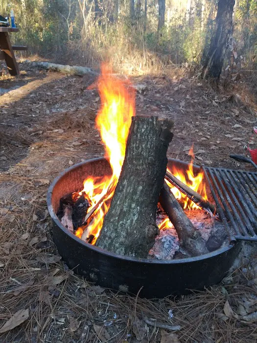 Catface Corner Campground (Florida Forest Service) Picture 3