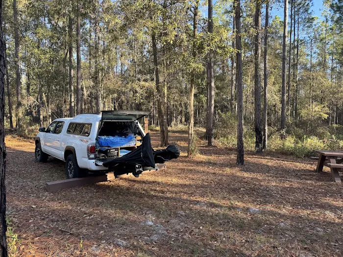 Catface Corner Campground (Florida Forest Service) Picture 1