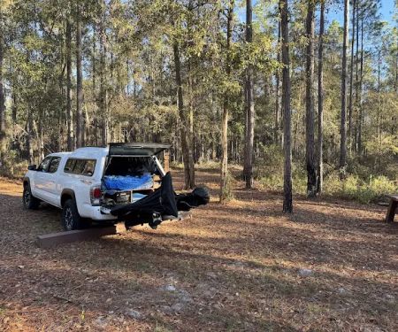 Catface Corner Campground (Florida Forest Service)