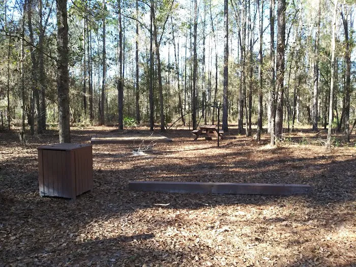 Catface Corner Campground (Florida Forest Service) Picture 5