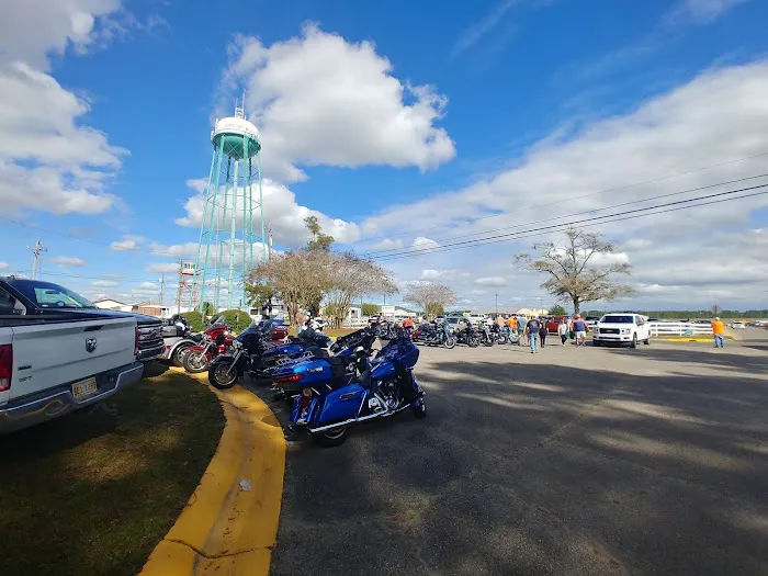 Spence Field Campgrounds Picture 5