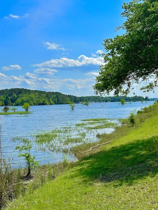 Cottonhill Campground Picture 6