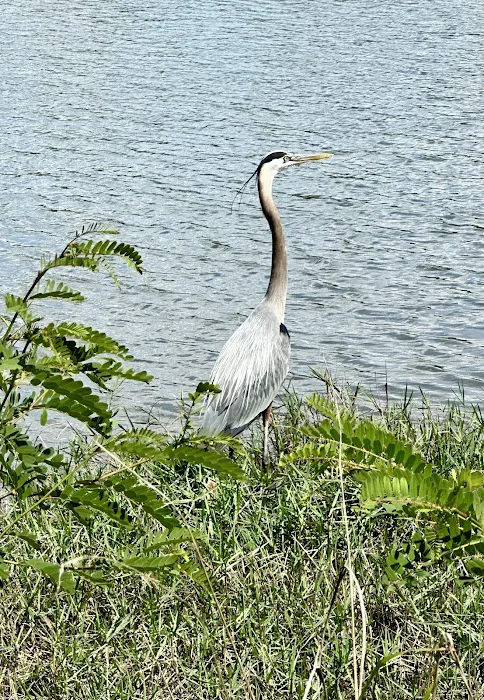 Cottonhill Campground Picture 7
