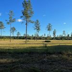 farmcamp glampground