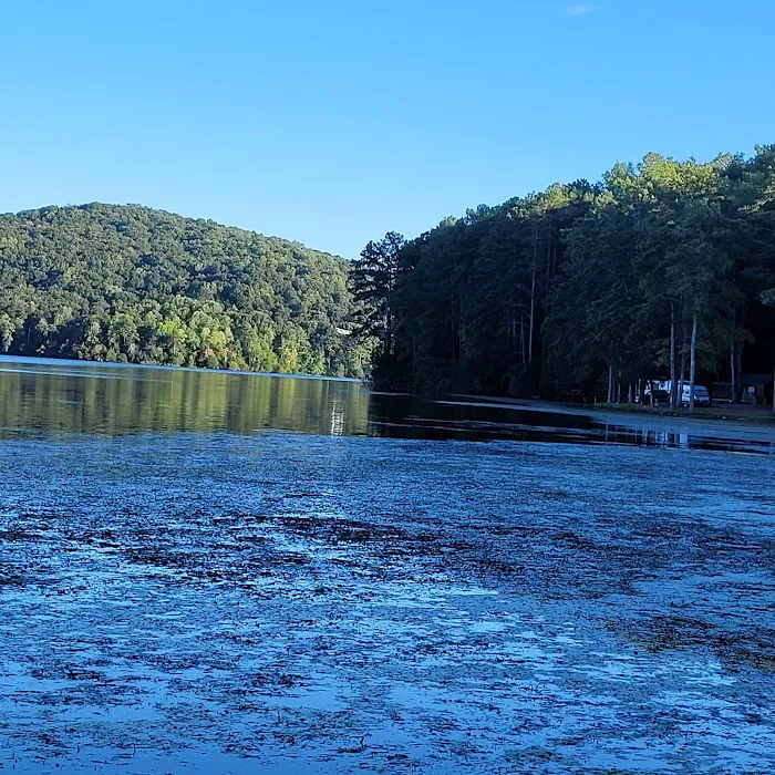 Honeycomb Campground Picture 8