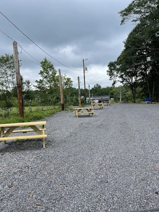 Lilypad RV and Tiny House Park Picture 6