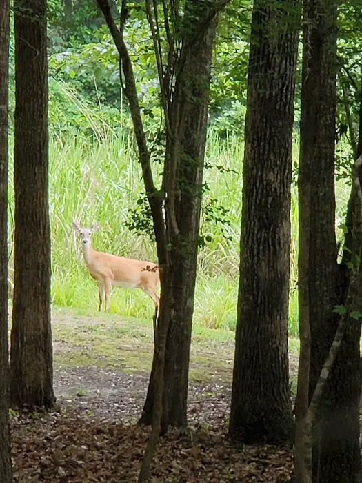 Bluff Creek Park Picture 1