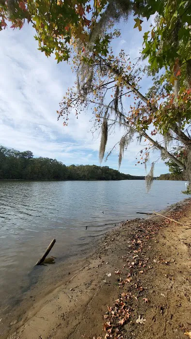 Bluff Creek Park Picture 8