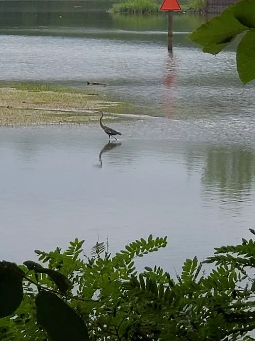 Bluff Creek Park Picture 4