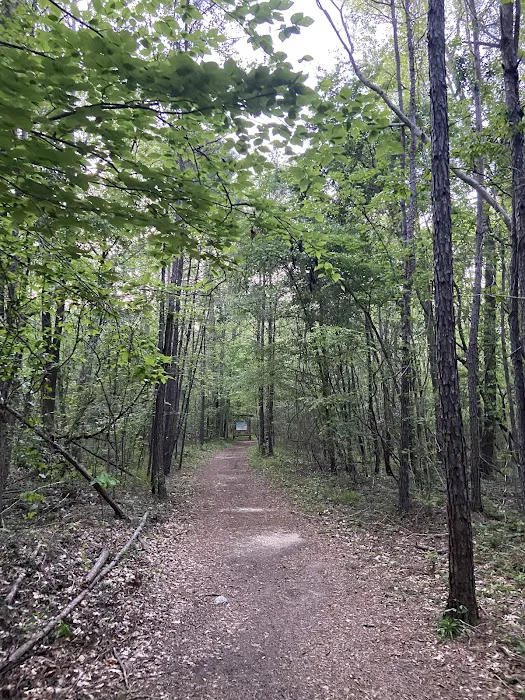 Swayback Campground Picture 4