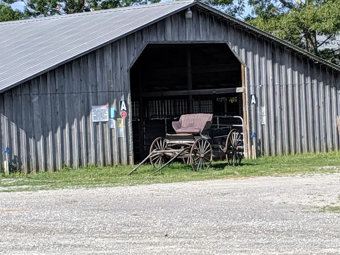 Circle E Guest Ranch Picture 2