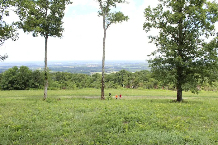Circle E Guest Ranch Picture 5