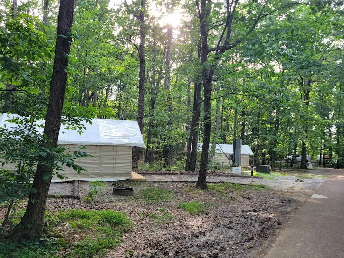 Timberline Glamping at Huntsville Picture 4