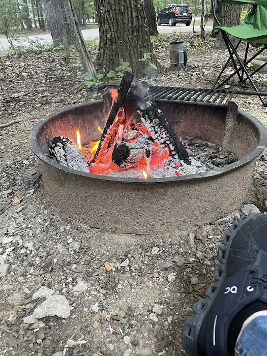 Timberline Glamping at Huntsville Picture 8
