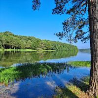 Tims Ford Fairview Campground ico
